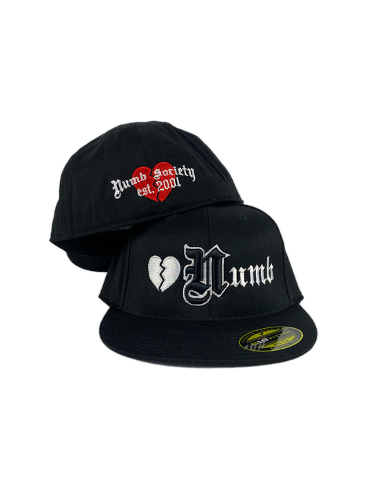 OG Fitted Hat